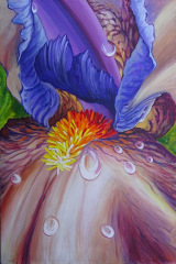 Barry Seelig, "Iris Fantasy", acrylic, 24x36, $2,200