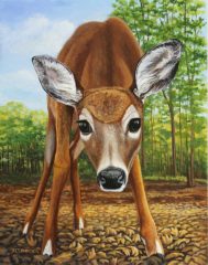 J Elaine Senack, "Cautiously Curious", acrylic on aluminum, 14x11, $820