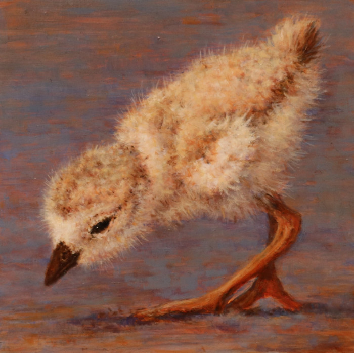 D. Mally DeSomma, "Sushi Searching", oil, $150
