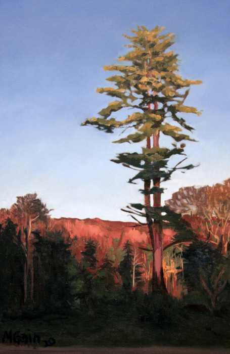 Gain, Michael, "Twin Pines New Hartford", oil, $875