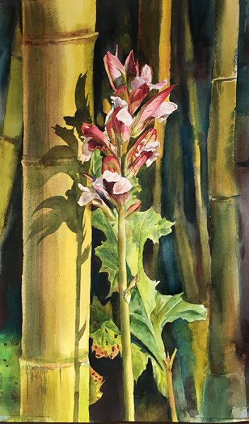Chapin JoAnna Acanthus