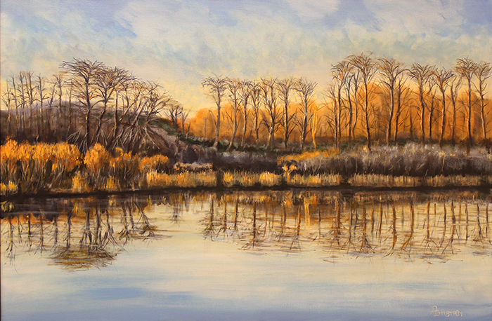 Dahlstrom daniel s reflections
