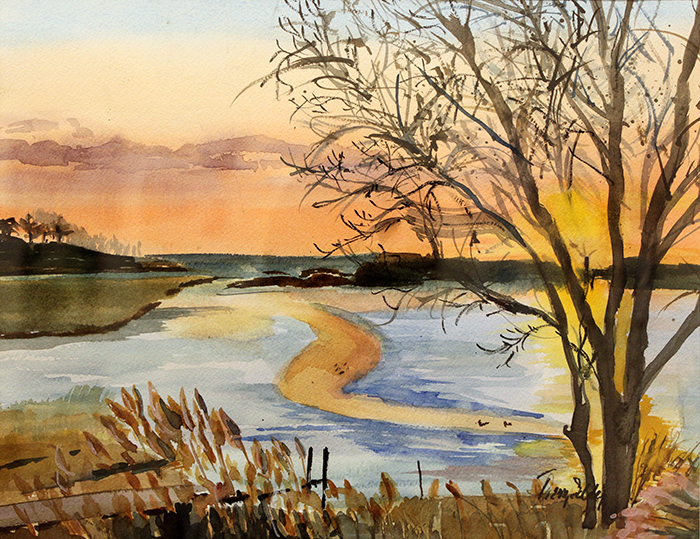 Eddy Terry marsh reflections