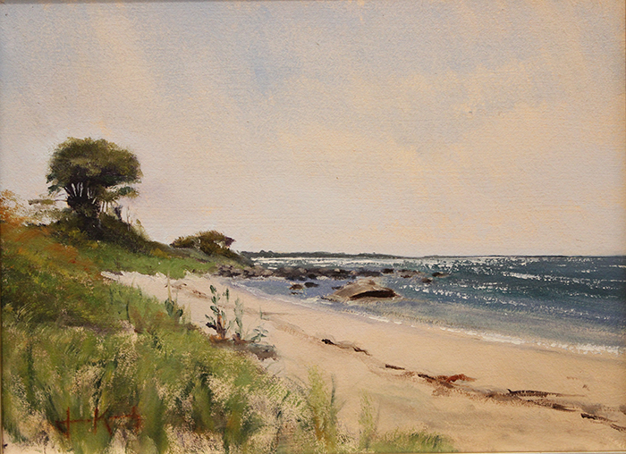 Kennedy James harkness beach