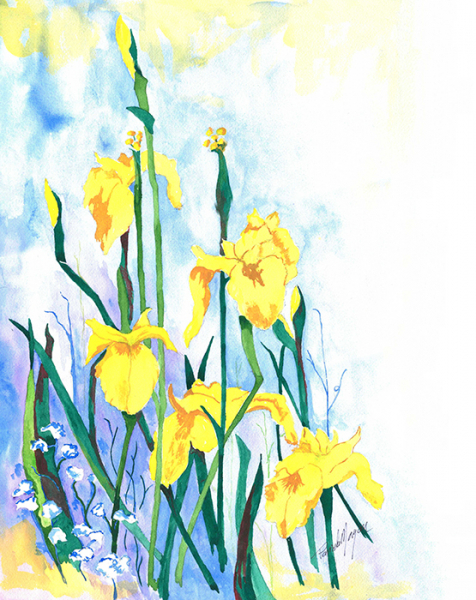 Morgan Pamela Flag Iris