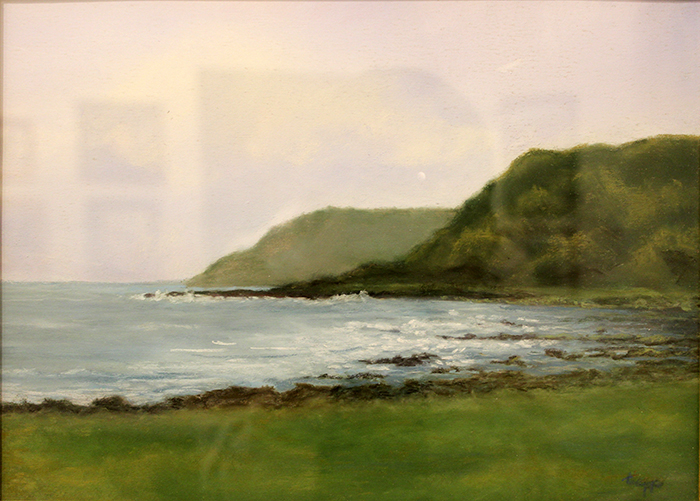 Trapp Patricia Irish coast