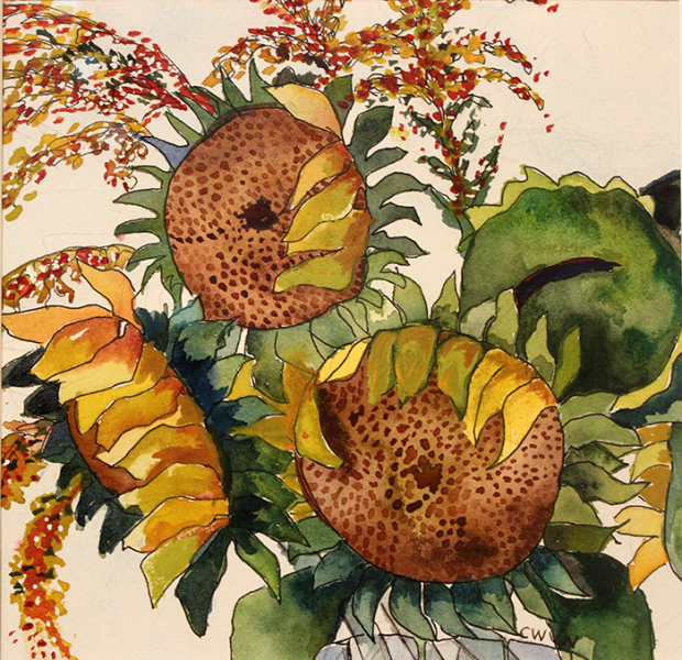 Van Nes claudia sunflowers
