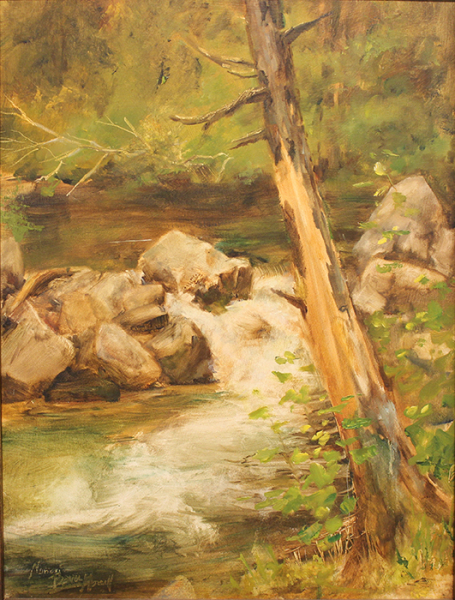 howell Nancy Bauer bog river falls