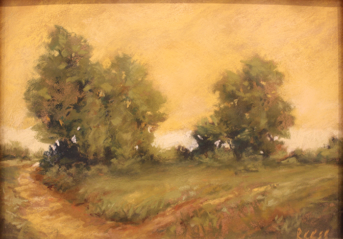 reese Pamela colorado cottonwoods