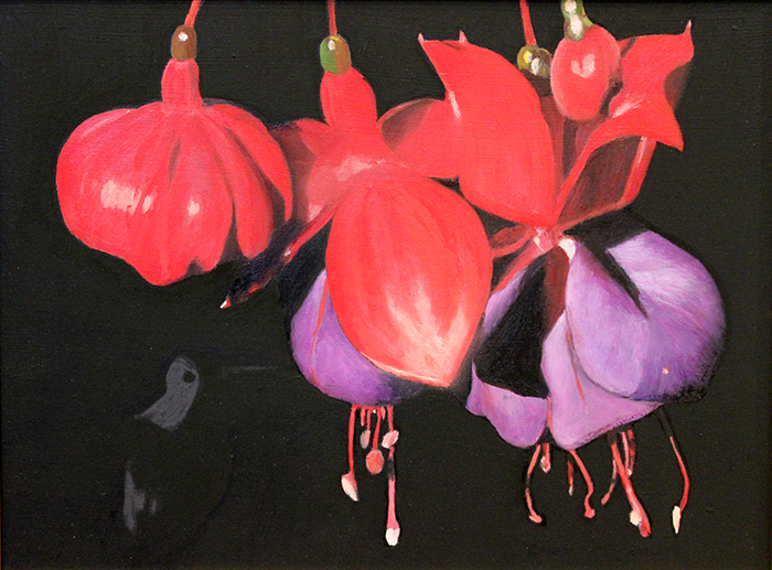 taylor Cameron fuschia and hummingbird