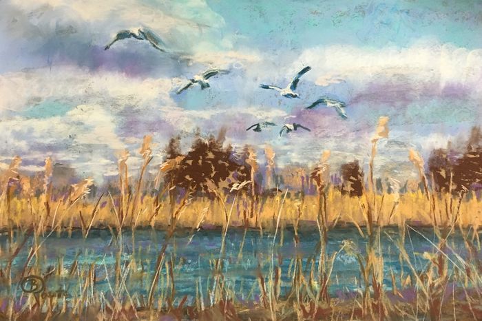 RossittoBarbaraASGullsFlypastel