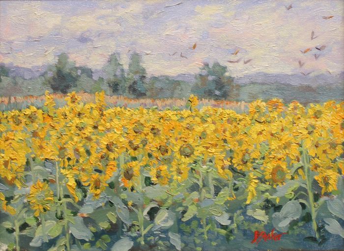 ShaferBetsyBroughtonSunnyFieldsoilonlinen