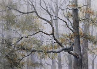 VaillencourtAnnOakAdaptationwatercolor