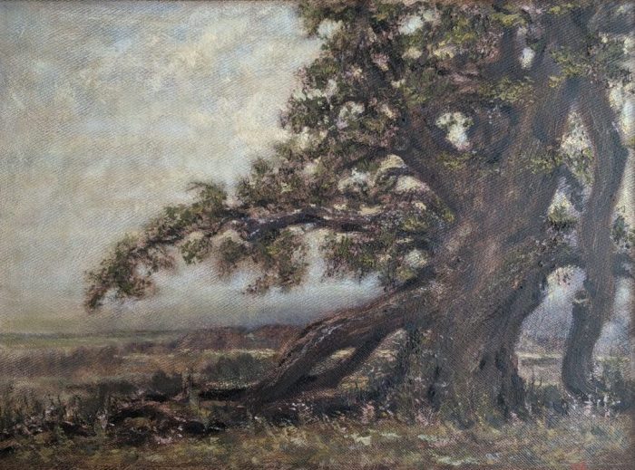Alexander Anisimov, "Granby Oak", oil, 26x35, $725