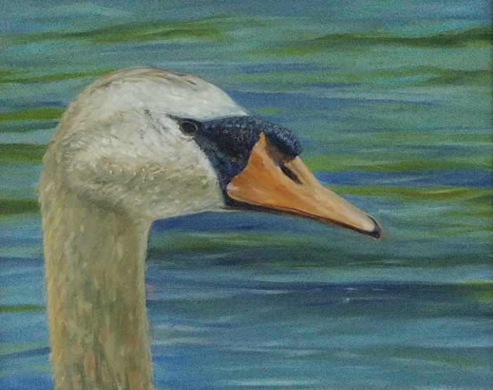 Daniel Dahlstrom, "Portrait of a Swan", oil, 16x20, $850