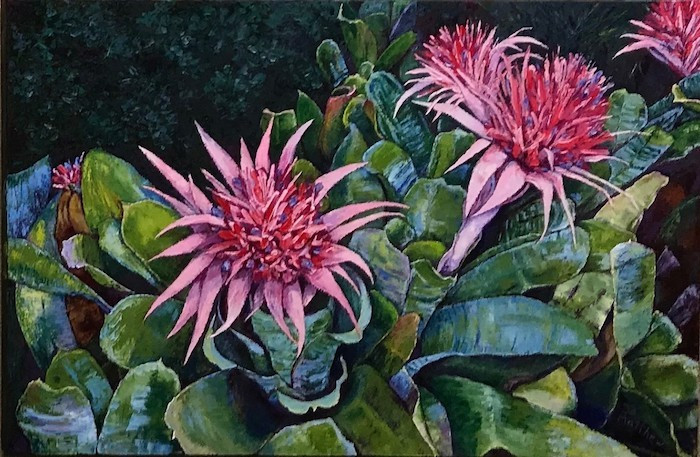 Jill Beecher Matthew, "Blooming Bromeliads", oil, 24x36, $2,100