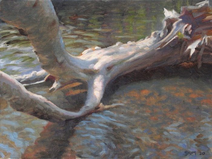 Sean Murtha, "Wood and Water", oil, 8x12, $800
