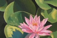 Diane Chandler, "Lily Pads", oil, 6x6, $160