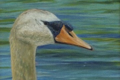 Daniel Dahlstrom, "Portrait of a Swan", oil, 16x20, $850