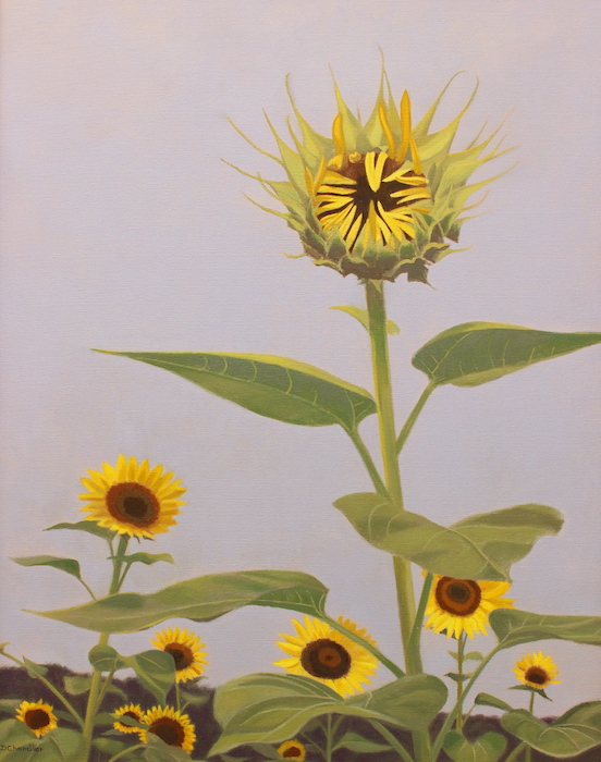 Diane Chandler, "The Unfurling", oil, 28x22, $900