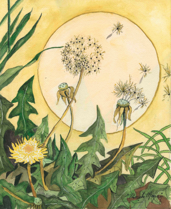 Pamela Morgan, "Dandies in the Garden", watercolor, 13x11, $600