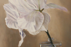 Daniel Dahlstrom, "White Flower in a Bottle", oil, 16x20, $825