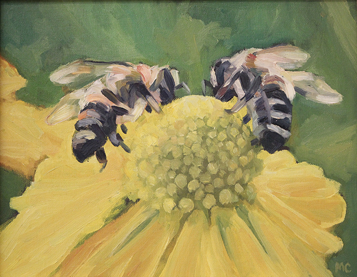 Centrella Michael Grays Bees
