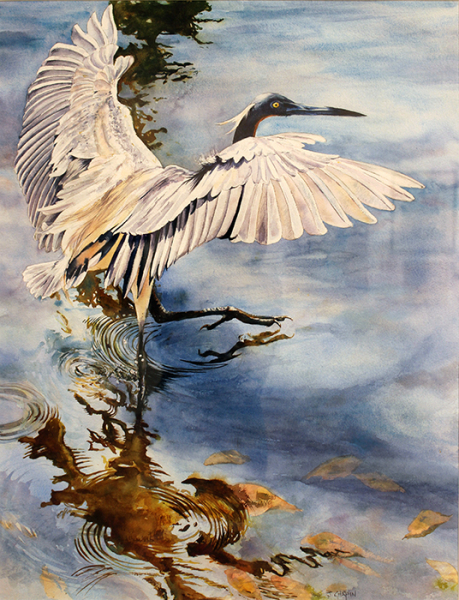 Chapin JoAnna The Heron