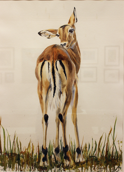 Chapin JoAnna The Impala
