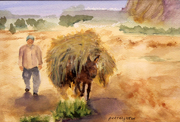 Creighton Patricia C Moroccan Farmer