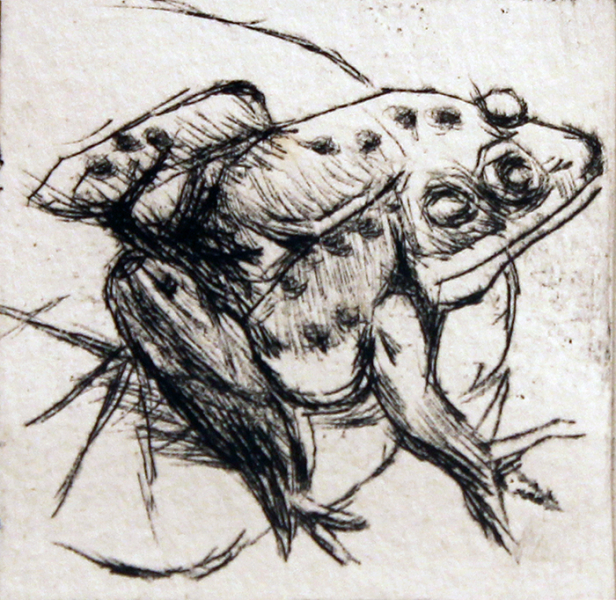 Lewis Suzanne Frog