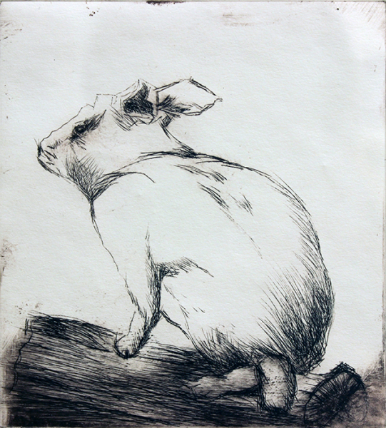 Lewis Suzanne Snowshoe Hare