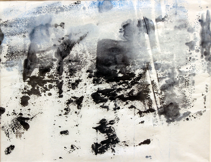 Mansell Catherine Radix Glacier Study