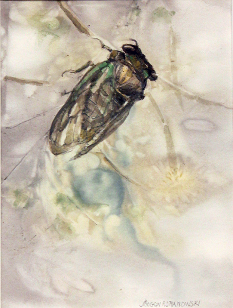 Romanowski J Bogon The Fragile Hour