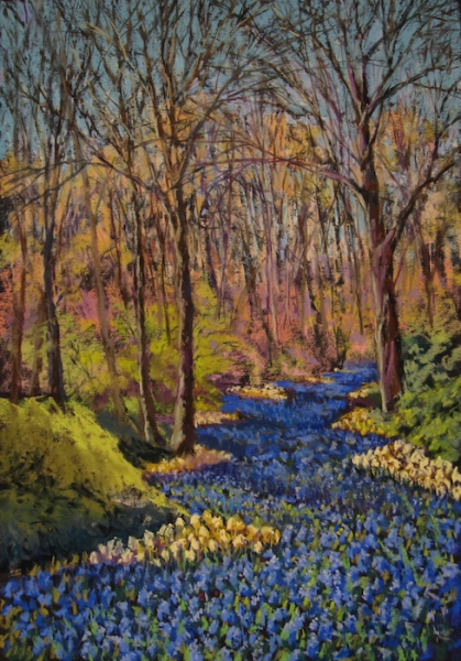 Seekamp Patricia River of Muscari Keukenhof Garden