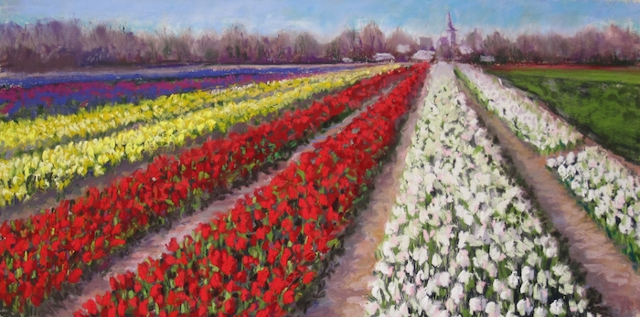 Seekamp Patricia Tulip Farm