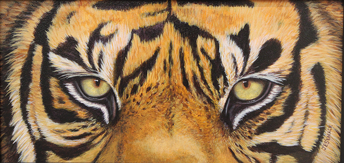 Senack J Elaine Tiger Eyes