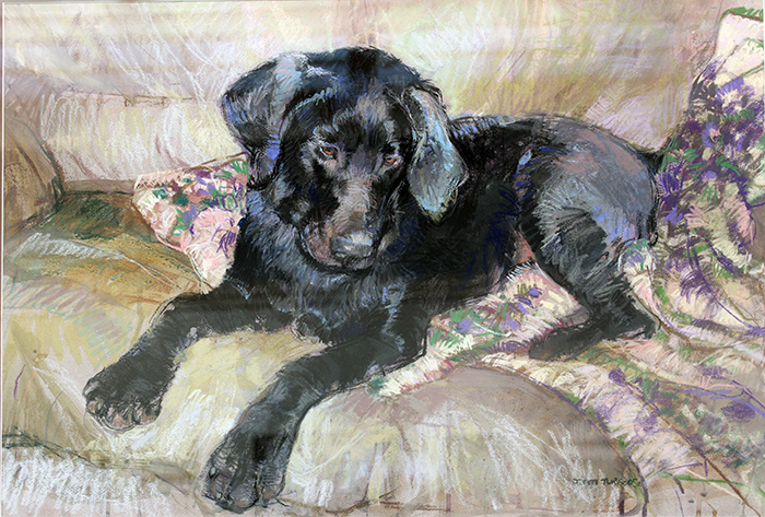 Turgoose Jessica Teti Jacks Blanket