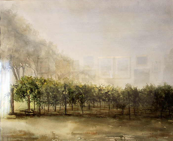 Vaillencourt Ann Vinyeard Waking