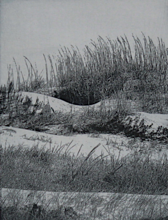 Dunn, Carol, "Dunes and Grasses", Etching, $195