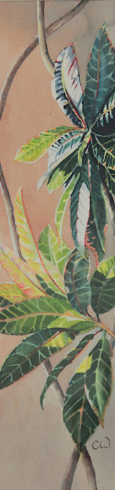 Weymann, Cheri , "Small Reflections", Watercolor, $175