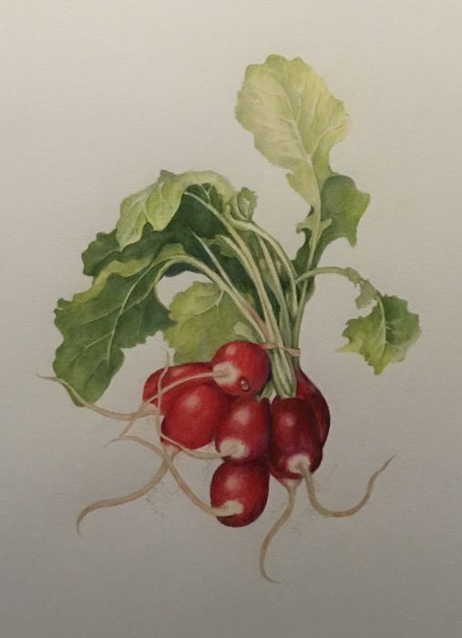 Nancy Armstrong	, 	Homegrown	, 	colored pencil	, 	$500