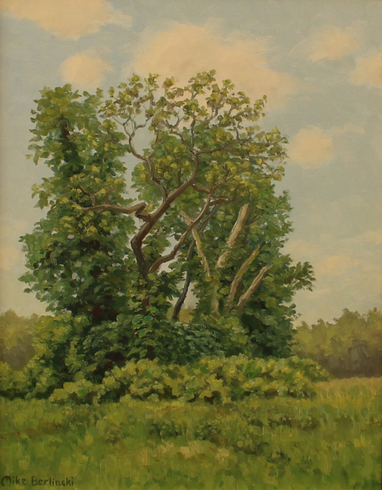 Mike Berlinski	, 	Springtime at the Farm	, 	oil	, 	$900