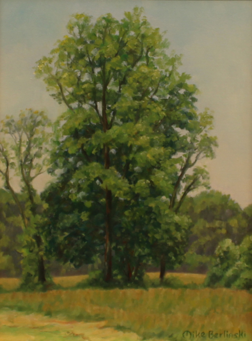 Mike Berlinski	, 	Summer, Mid-Day	, 	oil	, 	$750