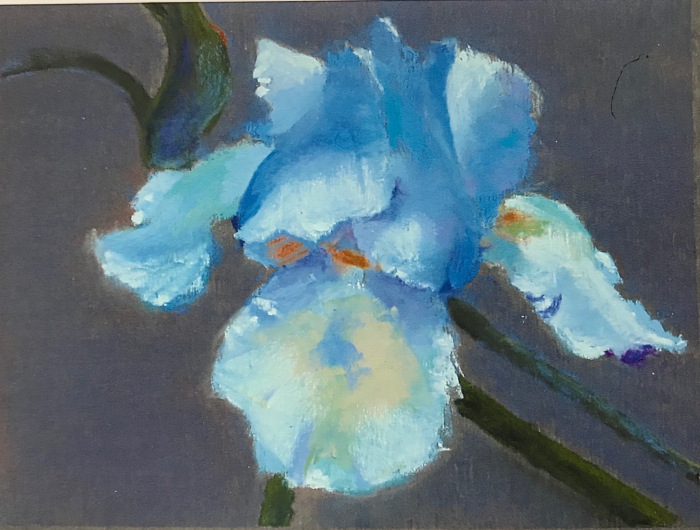Kathy Kuryla, Bearded Iris, pastel, $325