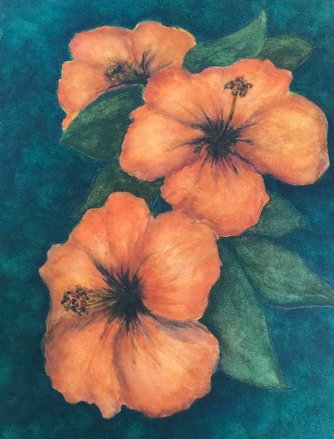 Elin Larson, Hibiscus, watercolor, $400