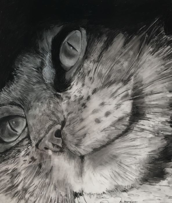 Anthony Petrucci	, 	Pandora	, 	charcoal  	, 	$500	, 	10 x 12