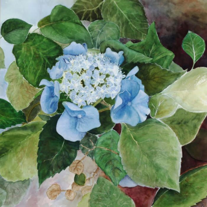 Susan Simler, French Lace, watercolor, $695