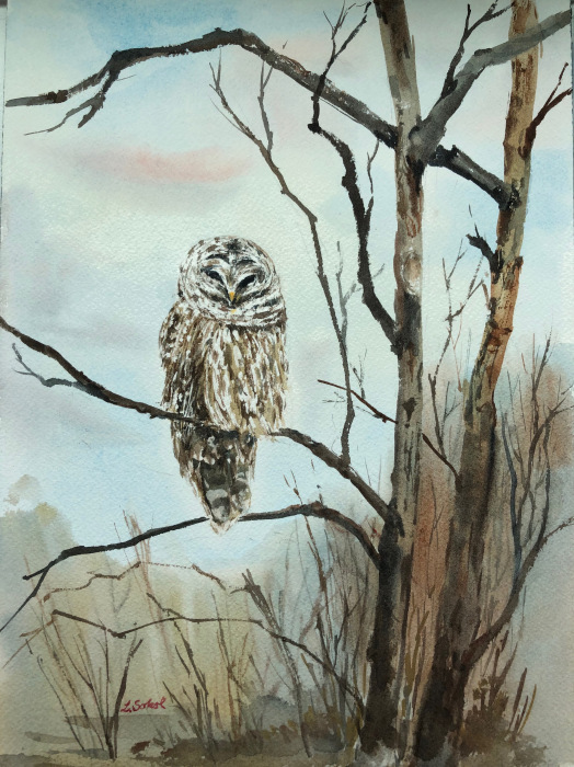Lucia Sokol, Perch and Wait, watercolor, $300