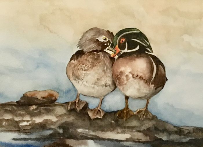 Sharol Stewart	, <i>	Wood Ducks	, </i>	watercolor	, 	$395	, 	22 x 18
